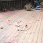 deck-paint-repair (216)