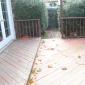 deck-paint-repair (217)